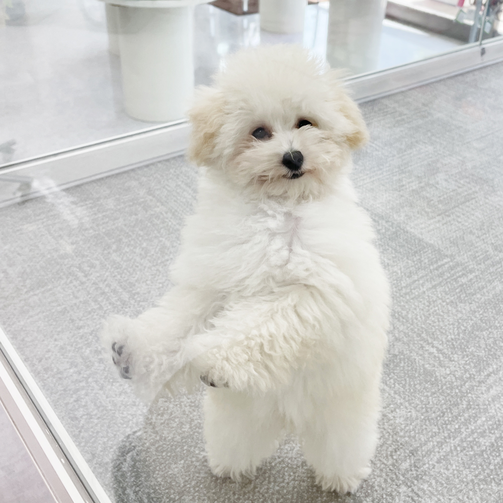 元気いっぱい！
